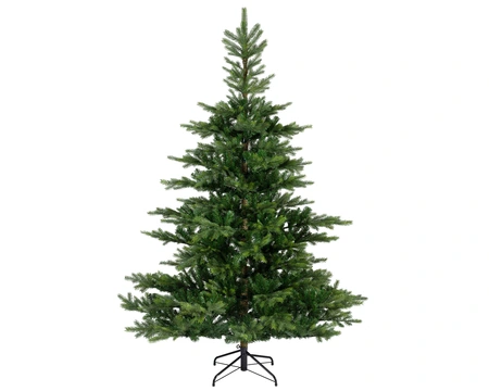 Grandis Fir H210.00Cm - image 1