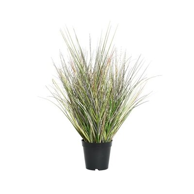 Grass In Pot Plastic H45.00cm