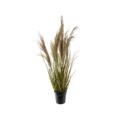 Grass In Pot Plastic H65.00cm