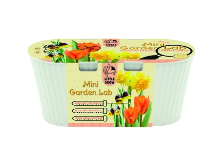 Green Box Maroon Collection Orange