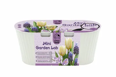 Green Box Sky Collection  Purple