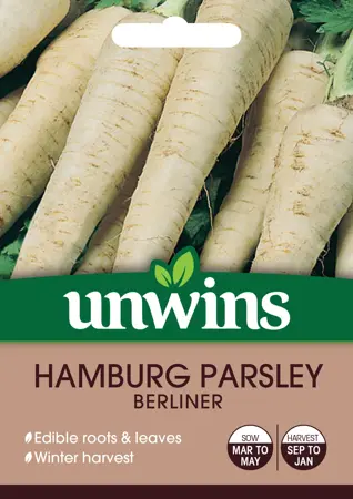 Hamburg Parsley Berliner - image 1