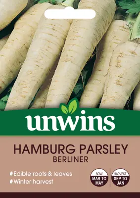 Hamburg Parsley Berliner - image 2