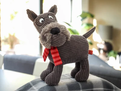 Hamish PlayPal - image 2
