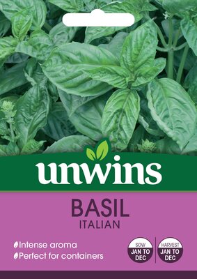 Herb Basil Italian - image 2