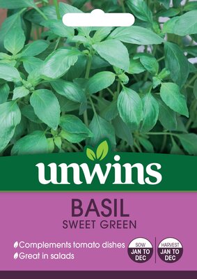 Herb Basil Sweet Green - image 2