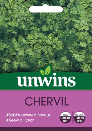 Herb Chervil - image 1