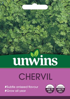 Herb Chervil - image 1