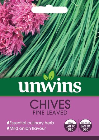 Herb Chives Fine Leaved - image 1