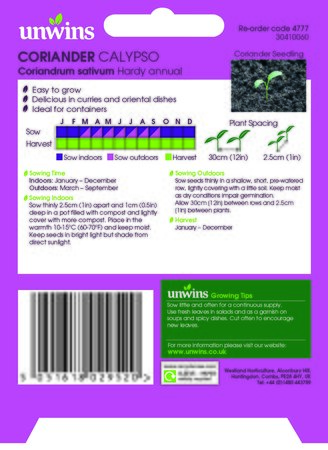 Herb Coriander Calypso - image 2