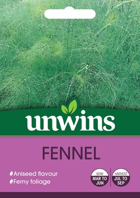 Herb Fennel - image 2