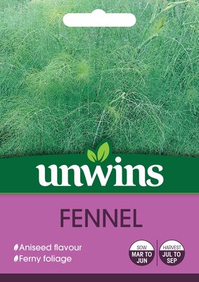 Herb Fennel - image 1