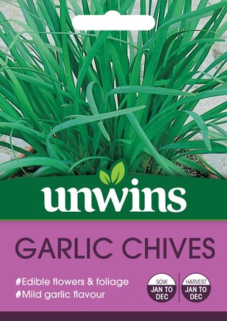 Herb Garlic Chives - image 1