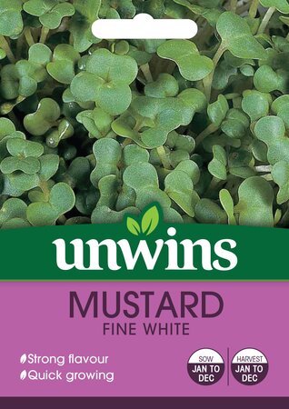 Herb Mustard Fine White - image 1