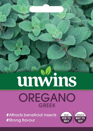 Herb Oregano Greek - image 1