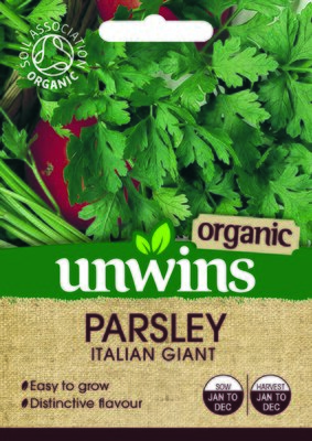 Herb Parsley Italian Giant (Organic) - image 2