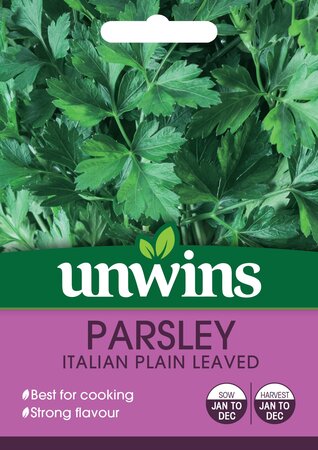 Herb Parsley Italian Plain Leaved - image 1