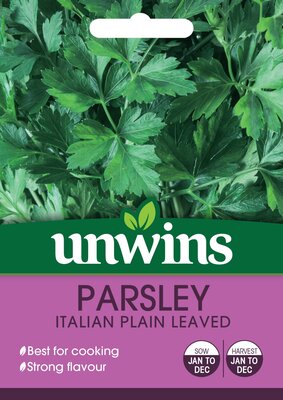 Herb Parsley Italian Plain Leaved - image 2