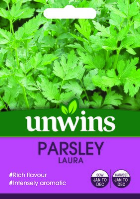 Herb Parsley Laura - image 1