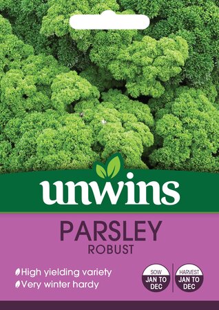 Herb Parsley Robust - image 1