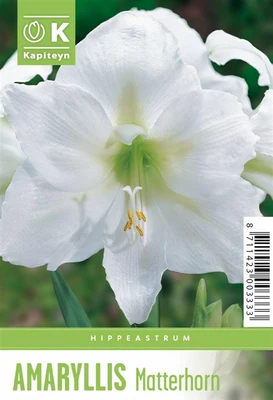 Hip With Label Matterhorn X1 32-34