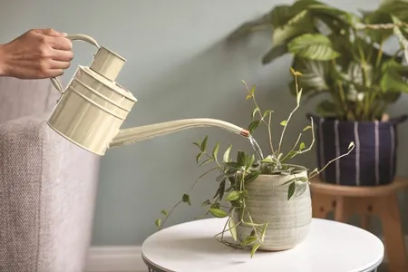 Home and Balcony Watering Can  Ivory - image 1