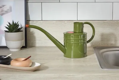 Home and Balcony Watering Can  Sage Green - image 1