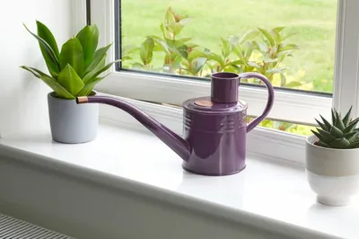 Home and Balcony Watering Can  Violet - image 1