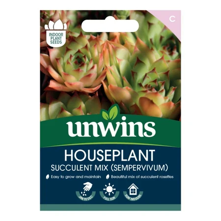Houseplant Succulent Mix (Sempervivum) - image 1
