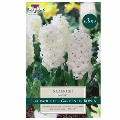 Hyacinth Carnegie 14-15 Ord P/P
