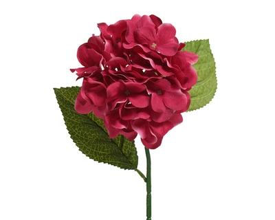 Hydrangea Fuchsia H66Cm - image 1