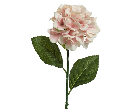 Hydrangea Light-Pink H66Cm - image 1