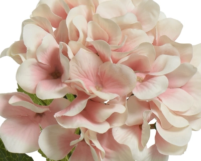 Hydrangea Light-Pink H66Cm - image 3