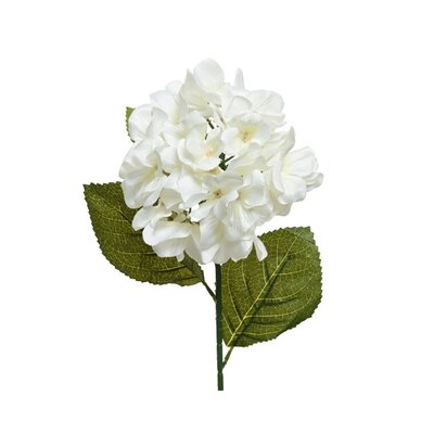 Hydrangea Polyester H66cm White