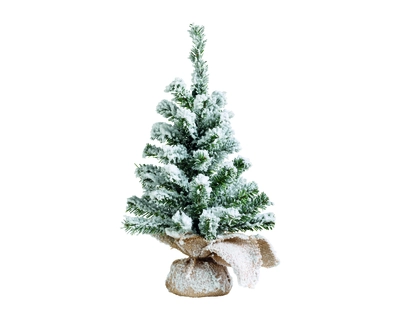 Imperial Mini Tree Snowy Dia35-H60Cm Green/White