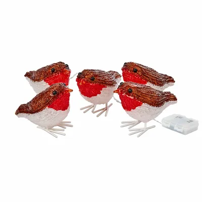InLit Ice Robins - Set of 5 - image 2