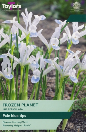 Iris Frozen Planet 5-6 P/P