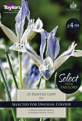 Iris Painted Lady 5-6