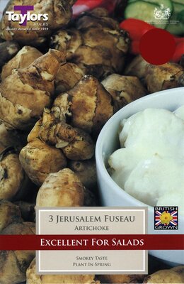 Jerusalem Artich Fuseau