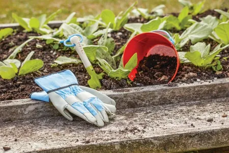 Junior Riggers 8-yrs - image 1