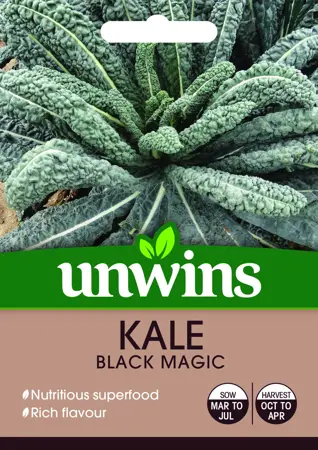 Kale Black Magic - image 1