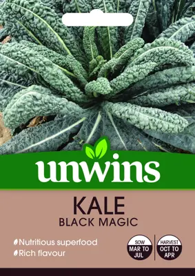 Kale Black Magic - image 1