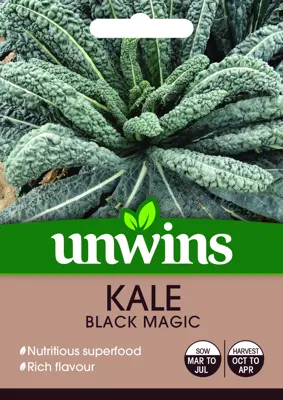 Kale Black Magic - image 2