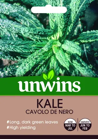 Kale Cavolo de Nero - image 1