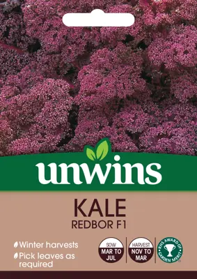 Kale Redbor F1 - image 1