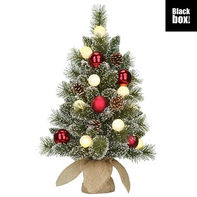 Kaprun X-Mas Tree With Green Frosted Red 10L BO With Timer - H60