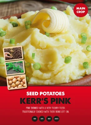 Kerr's Pink 2kg