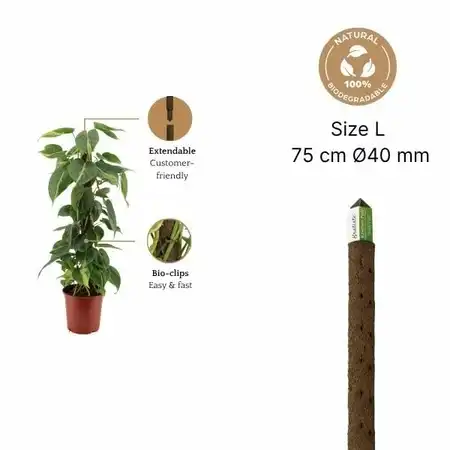 Kratiste climbing pole 75 CM - image 1