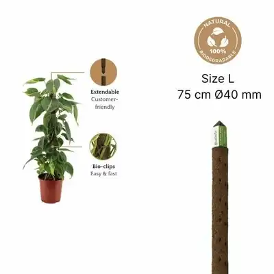 Kratiste climbing pole 75 CM - image 3