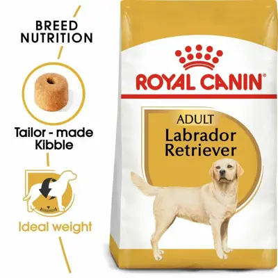 Labrador Retriever 12kg